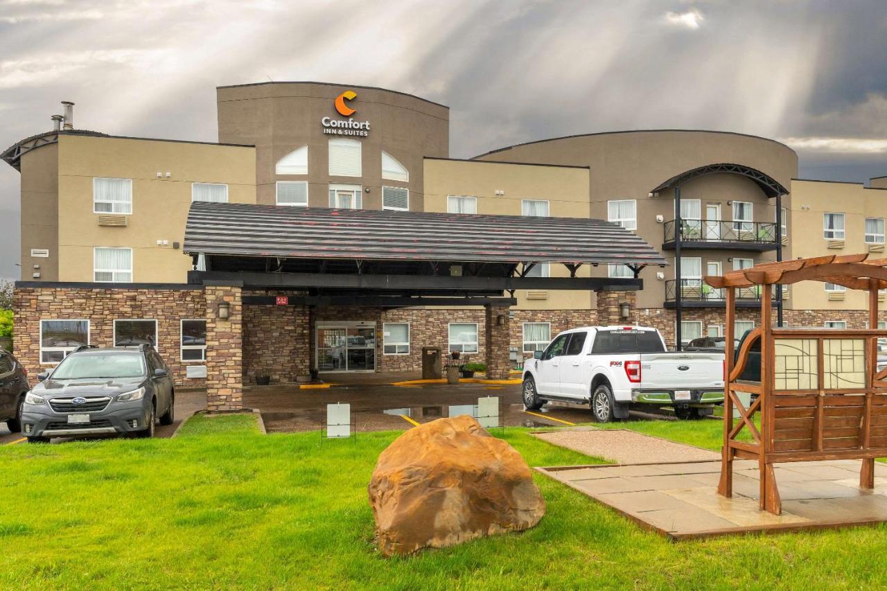 Comfort Inn & Suites Медисин Хет Екстериор снимка