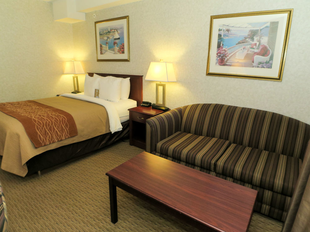 Comfort Inn & Suites Медисин Хет Екстериор снимка